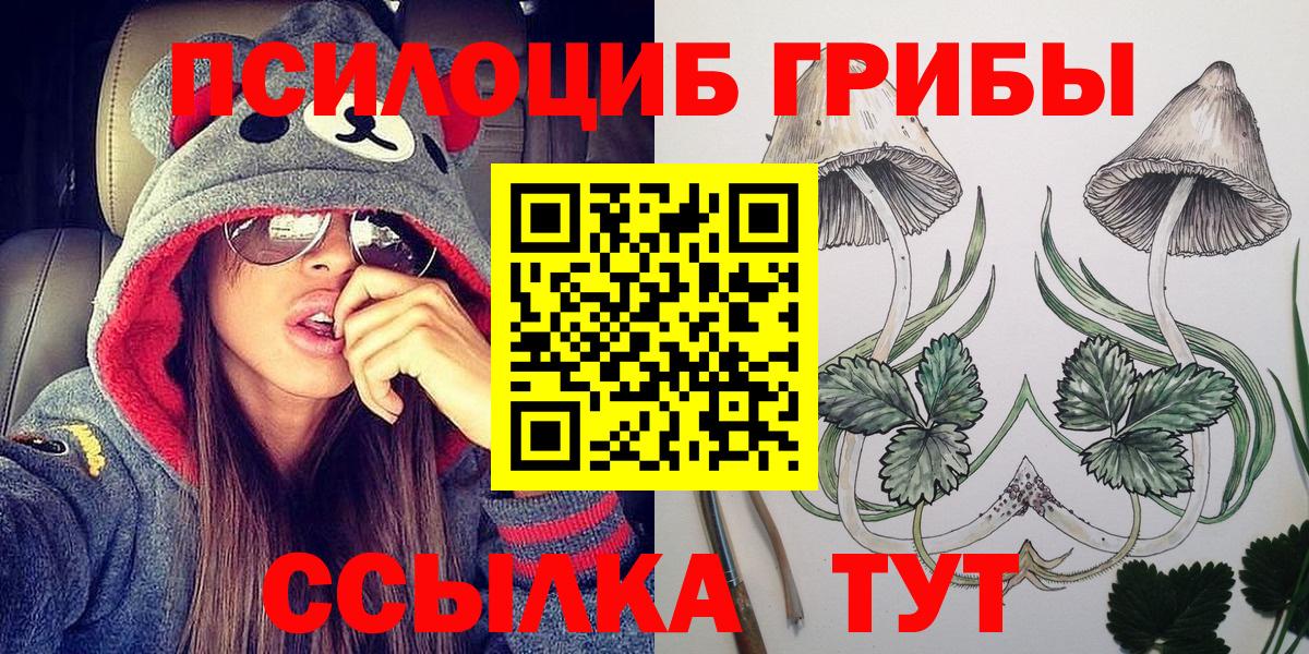 Псилоцибиновые грибы MAGIC MUSHROOMS Ревда